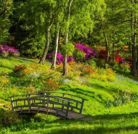 Karin Kallert-Preise