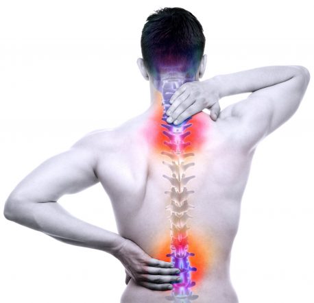 Karin Kallert - Wirbelsäule