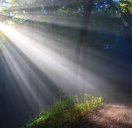 Auflösung vom Jakobsleiter Fluch